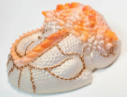 Orange Dragon